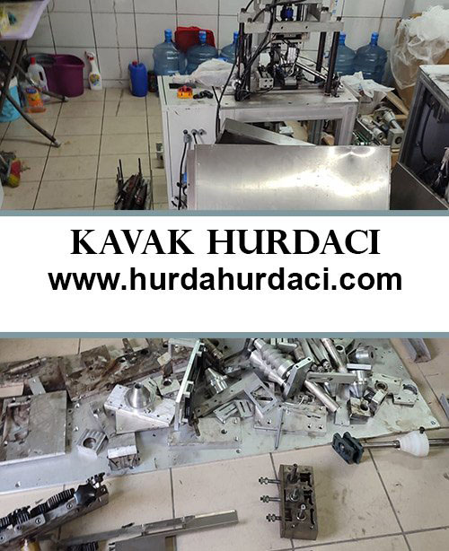 Kavak Hurdacı